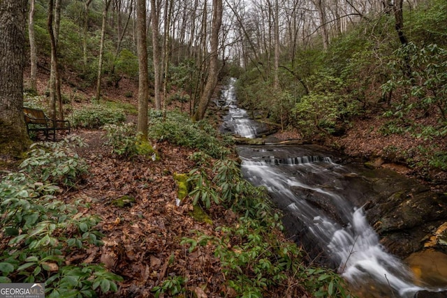 185 Huckleberry Cove Rd, Jasper, GA 30143 - view of yard with a wooded view