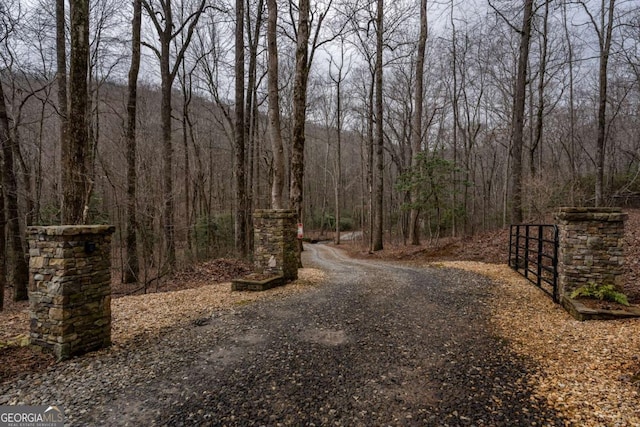 185 Huckleberry Cove Rd, Jasper, GA 30143 - view of road featuring a wooded view