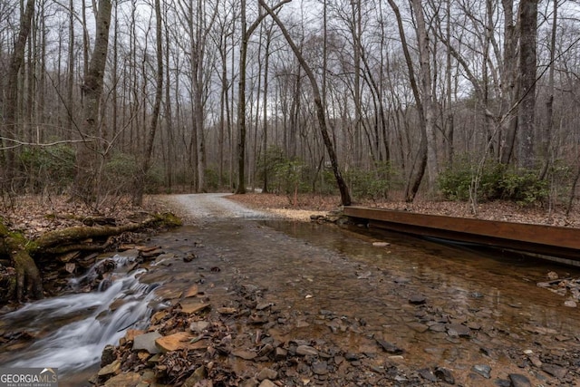 185 Huckleberry Cove Rd, Jasper, GA 30143 - view of road featuring a wooded view