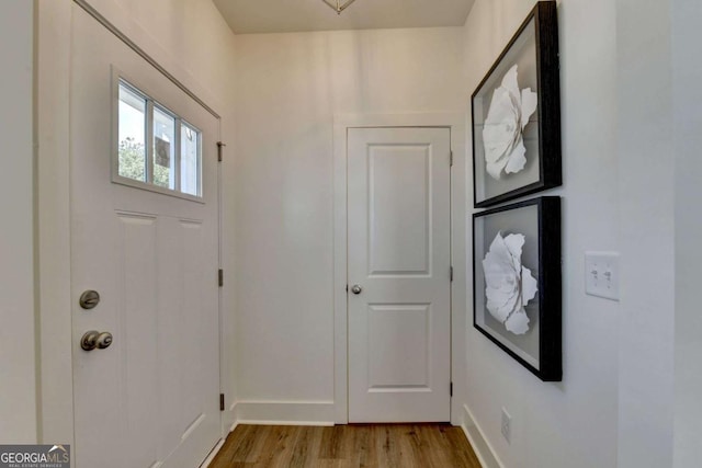 foyer entrance featuring light hardwood / wood-style flooring