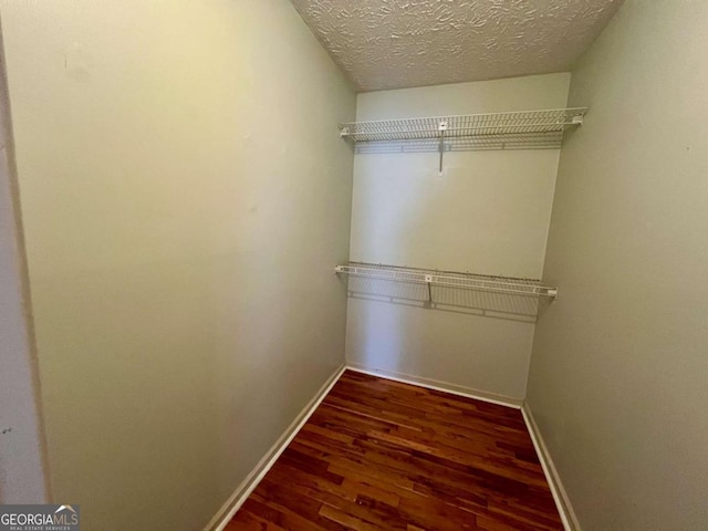 walk in closet with dark hardwood / wood-style flooring