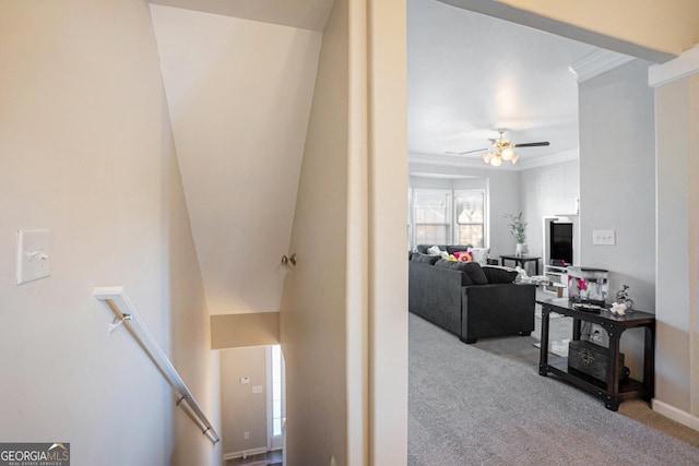 stairway featuring carpet floors, ornamental molding, and ceiling fan