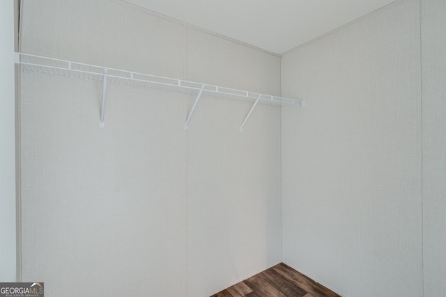 walk in closet featuring dark wood-style flooring