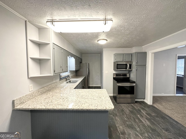 kitchen with sink, light stone counters, appliances with stainless steel finishes, dark hardwood / wood-style flooring, and kitchen peninsula