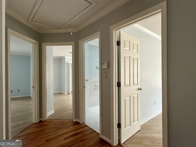 hall with ornamental molding and light wood-type flooring