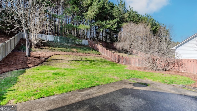 view of yard featuring a patio area