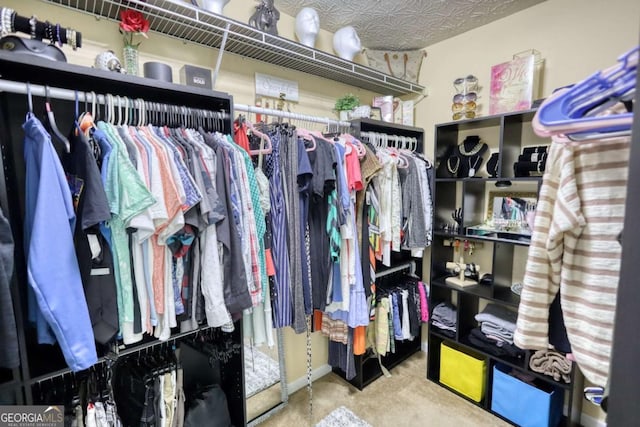 view of spacious closet