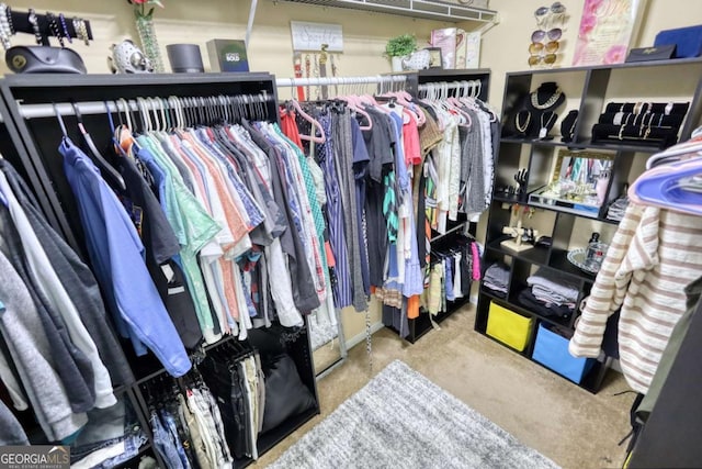 view of walk in closet