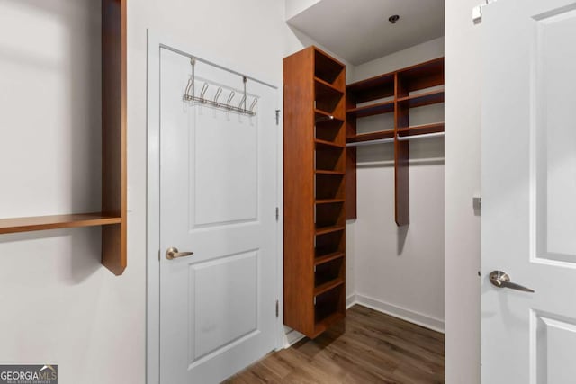 spacious closet with hardwood / wood-style floors