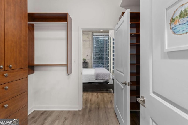 spacious closet with light wood-type flooring