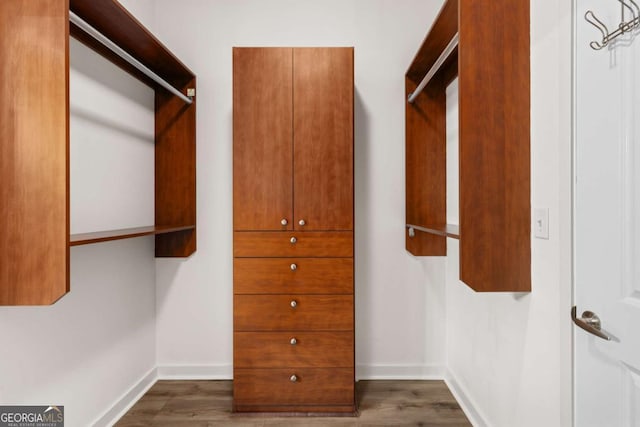 spacious closet featuring dark hardwood / wood-style floors