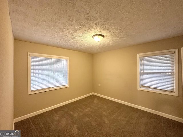 unfurnished room featuring carpet flooring, a wealth of natural light, and a textured ceiling