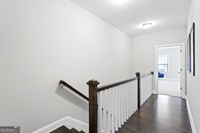 stairs with hardwood / wood-style flooring