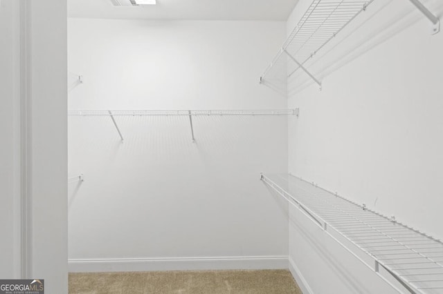 spacious closet featuring carpet