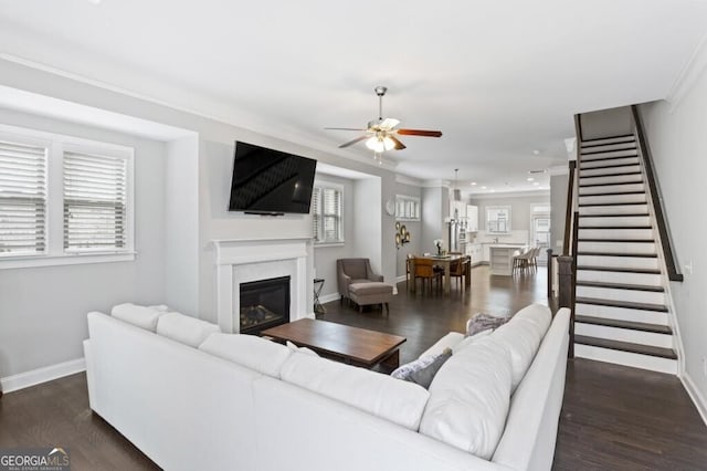 living room with ornamental molding, dark hardwood / wood-style floors, and ceiling fan