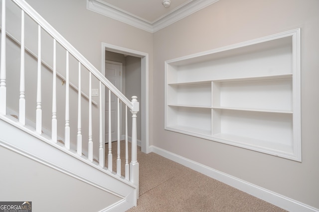 staircase featuring carpet flooring and crown molding