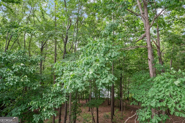 view of landscape