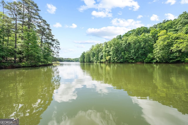 property view of water