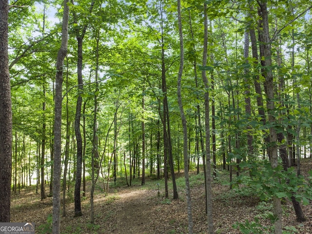 view of landscape