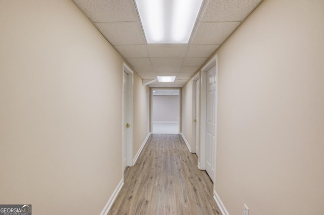 hall featuring light wood-type flooring and a drop ceiling