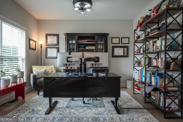 office featuring wood-type flooring