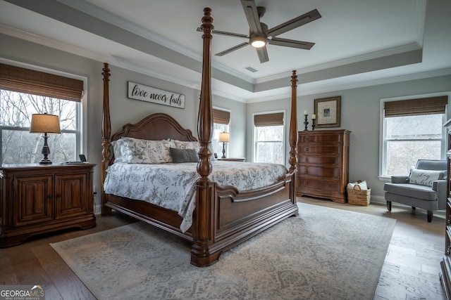 bedroom with multiple windows, dark hardwood / wood-style flooring, ornamental molding, and a raised ceiling