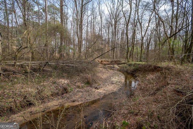 view of local wilderness