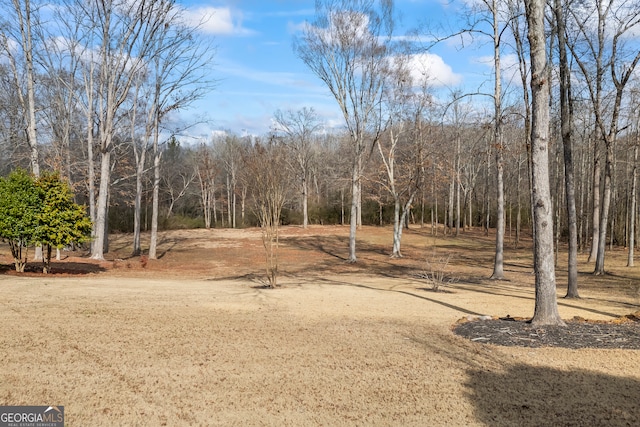 view of yard featuring driveway