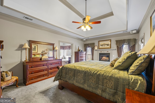 carpeted bedroom with a lit fireplace, multiple windows, ornamental molding, and a raised ceiling