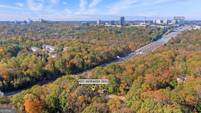 bird's eye view
