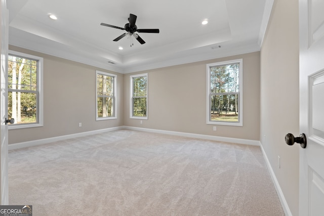 empty room featuring a raised ceiling, ornamental molding, light carpet, and a wealth of natural light