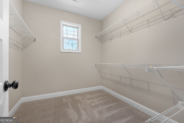 walk in closet with carpet flooring