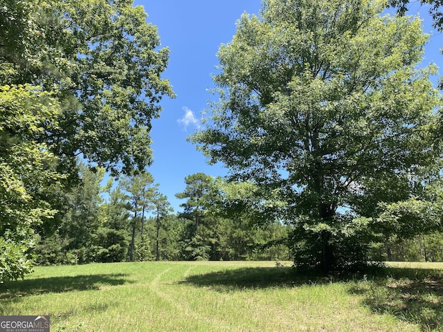 00 Trick Run, Forsyth GA, 31029 land for sale