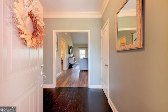 corridor featuring ornamental molding and dark wood-type flooring