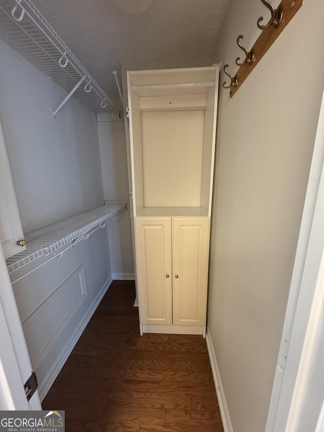 spacious closet featuring dark hardwood / wood-style floors