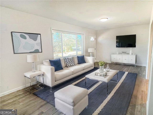 living room with baseboards and wood finished floors