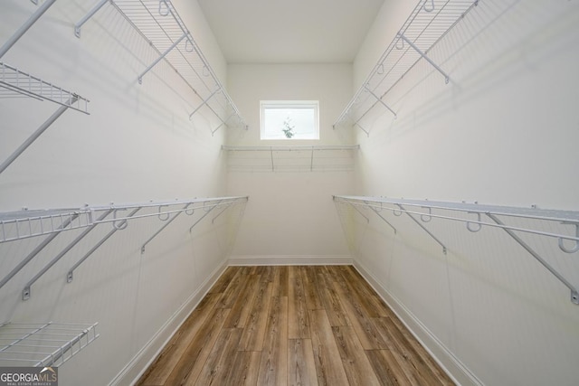 walk in closet with hardwood / wood-style floors