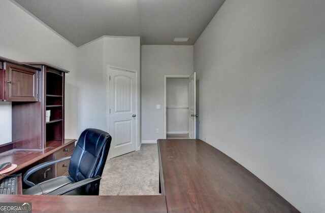 office space featuring carpet floors