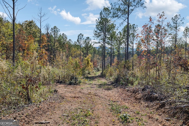 0 Josh Ward Rd, Summerville, GA 30747