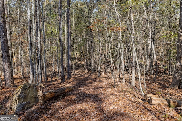 0 Josh Ward Rd, Summerville, GA 30747