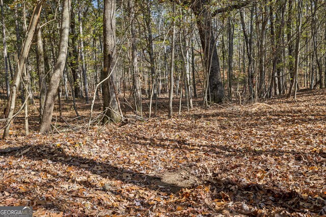 0 Josh Ward Rd, Summerville, GA 30747