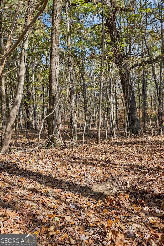 0 Josh Ward Rd, Summerville, GA 30747