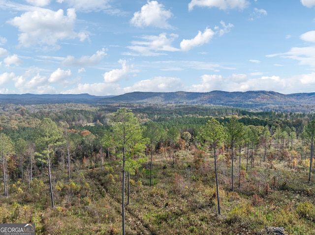 0 Josh Ward Rd, Summerville, GA 30747