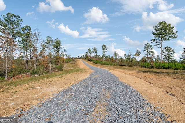 0 Josh Ward Rd, Summerville, GA 30747