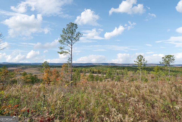 0 Josh Ward Rd, Summerville, GA 30747
