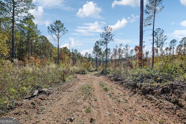 0 Josh Ward Rd, Summerville, GA 30747
