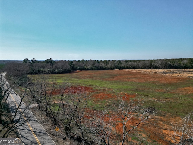 Listing photo 3 for 0 N Carter Fish Pond Rd, Plains GA 31780