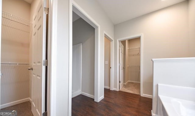 bathroom featuring dark wood-type flooring