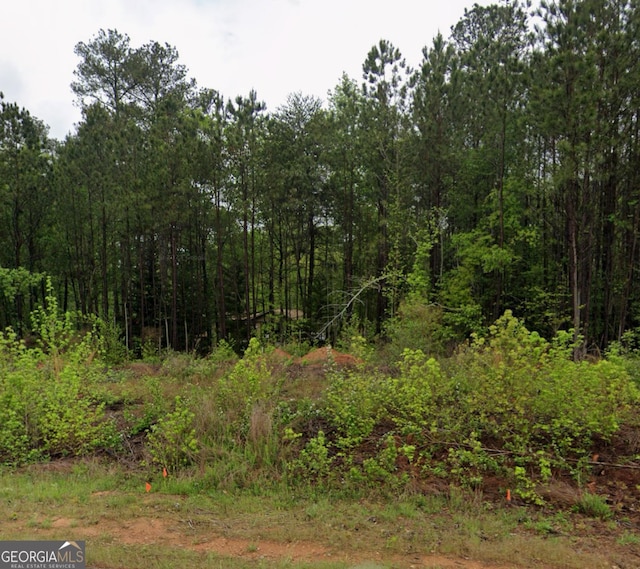 view of local wilderness