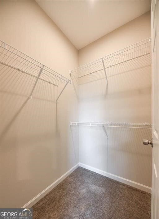 walk in closet with dark colored carpet